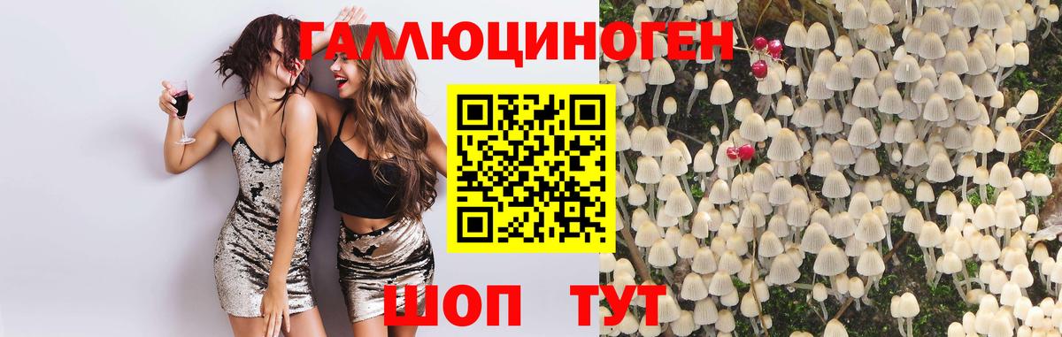 Гай  Псилоцибиновые грибы мухоморы  Вход с VPN 